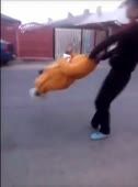 268x360