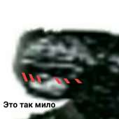 720x720