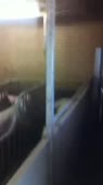 202x360