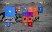1280x800