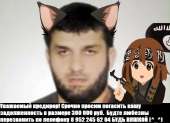 720x523