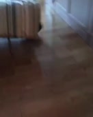 480x600