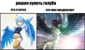 929x542