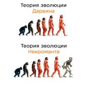700x700
