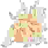 166x166