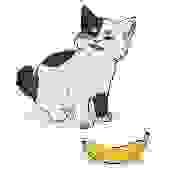 170x170