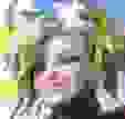 113x107
