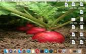 1280x800