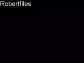 384x288