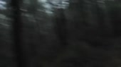 1280x720