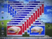 480x360