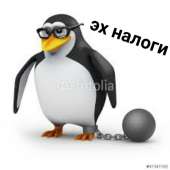 720x720