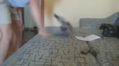 640x360