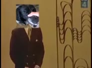 480x360