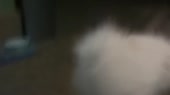 480x270