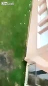 464x820