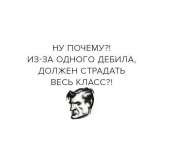 519x491