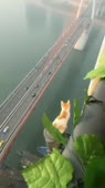 360x640