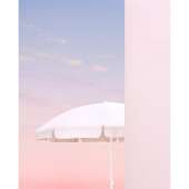 736x736