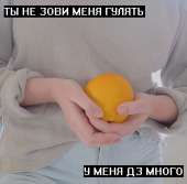 750x739