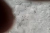 360x240