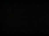 320x240