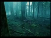 480x360