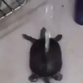 360x360