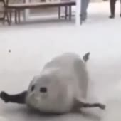 360x360