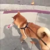 360x360