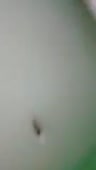 136x240