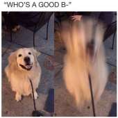 700x700