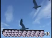 490x360