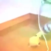 360x360