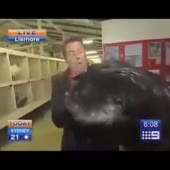 360x360