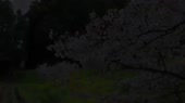 960x540