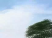 492x360