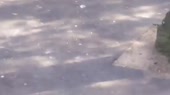 460x258