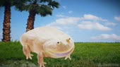 640x360