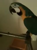 270x360