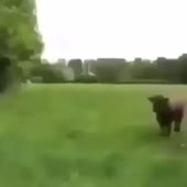 360x360