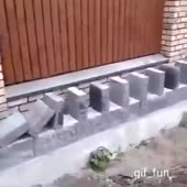 360x360