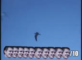 490x360