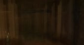 460x250