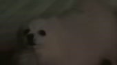 640x360
