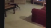 640x360
