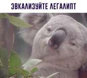 400x358