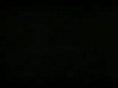 320x240