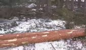 616x360