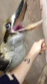 360x640